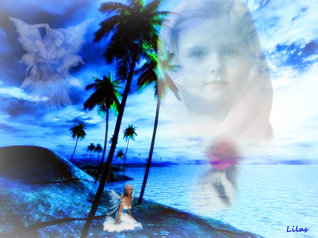 UN PEU DE DOUCEUR DANS CE MONDE DE BRUTES...